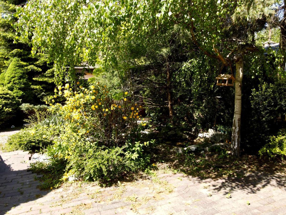 Pokoje Rezydencja Parysa Lublin Exterior foto